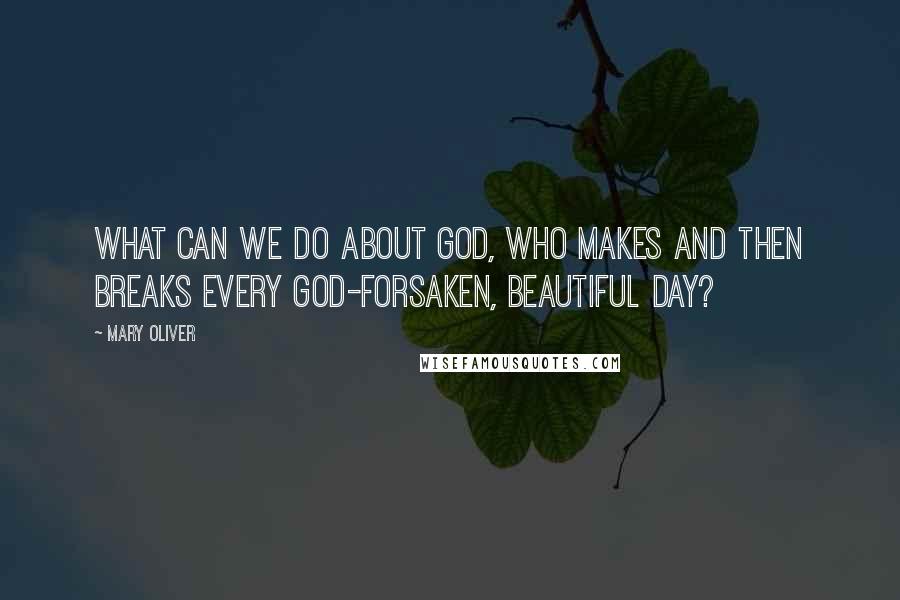 Mary Oliver Quotes: What can we do about God, who makes and then breaks every god-forsaken, beautiful day?