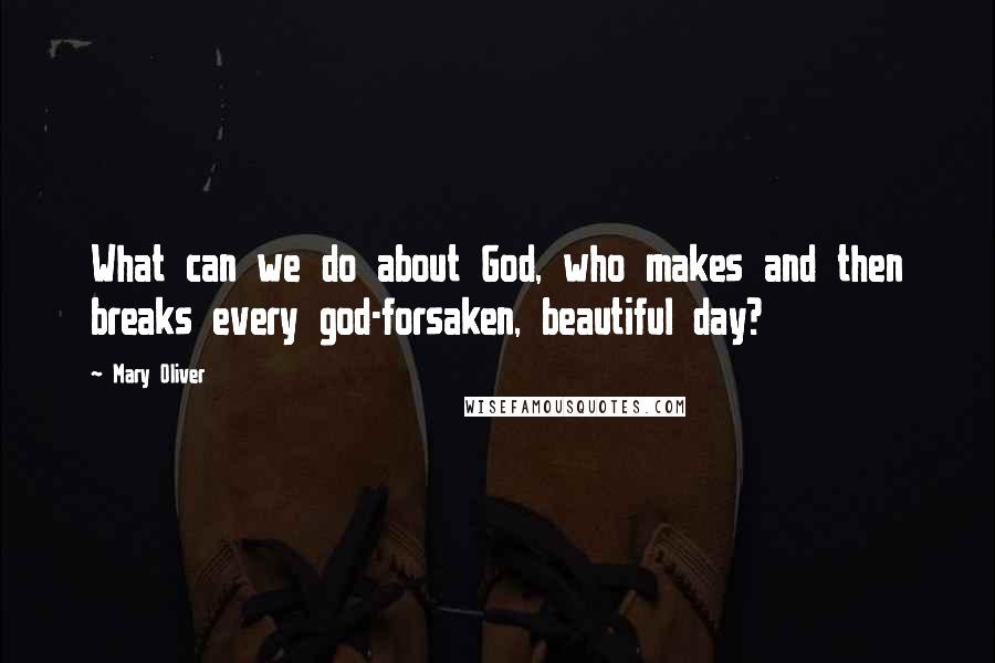 Mary Oliver Quotes: What can we do about God, who makes and then breaks every god-forsaken, beautiful day?