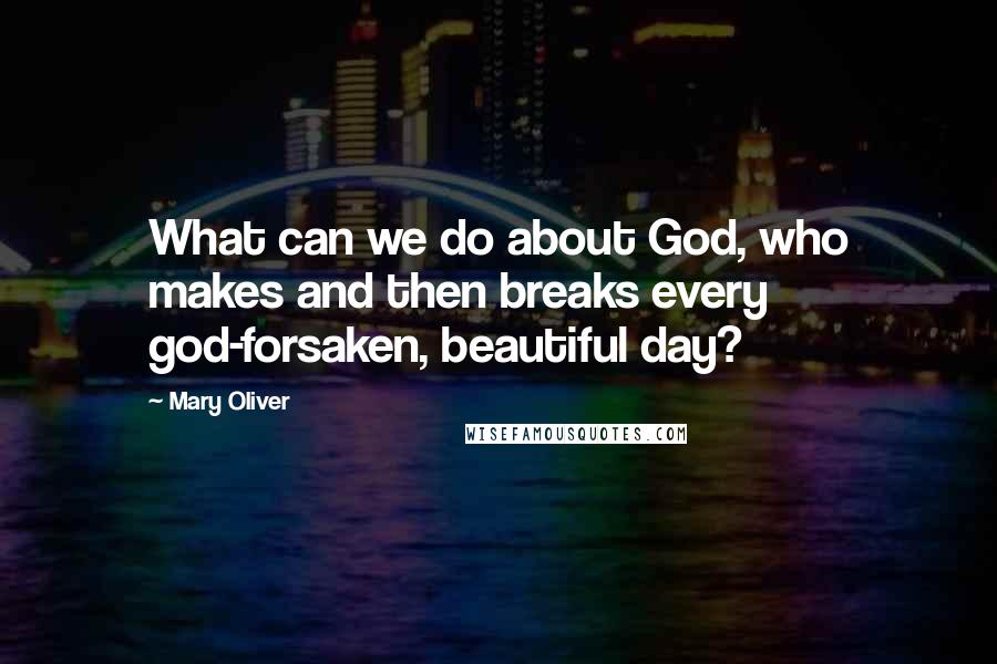 Mary Oliver Quotes: What can we do about God, who makes and then breaks every god-forsaken, beautiful day?