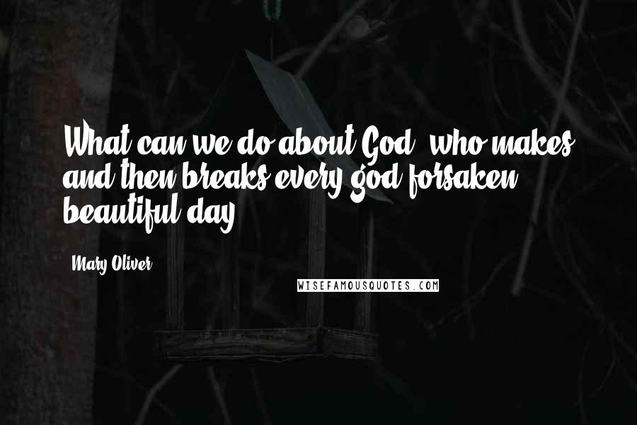 Mary Oliver Quotes: What can we do about God, who makes and then breaks every god-forsaken, beautiful day?