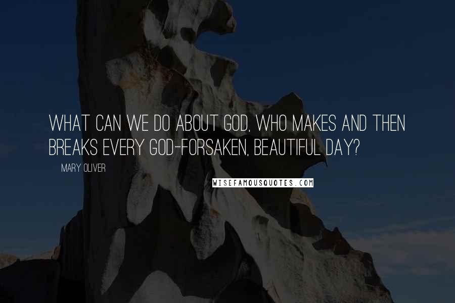 Mary Oliver Quotes: What can we do about God, who makes and then breaks every god-forsaken, beautiful day?