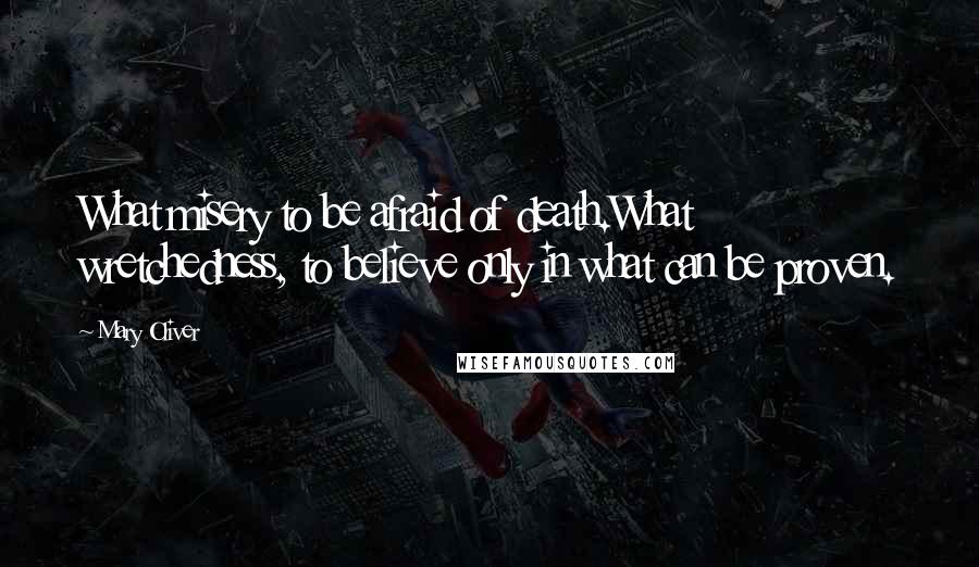 Mary Oliver Quotes: What misery to be afraid of death.What wretchedness, to believe only in what can be proven.