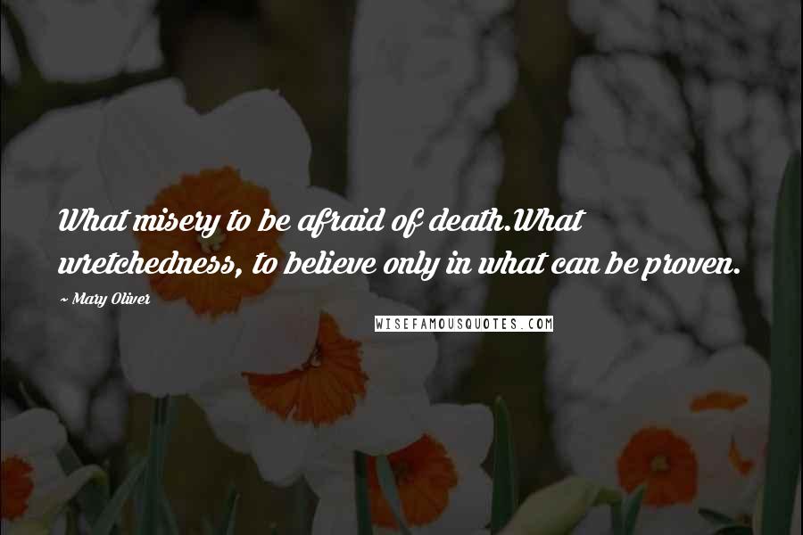 Mary Oliver Quotes: What misery to be afraid of death.What wretchedness, to believe only in what can be proven.