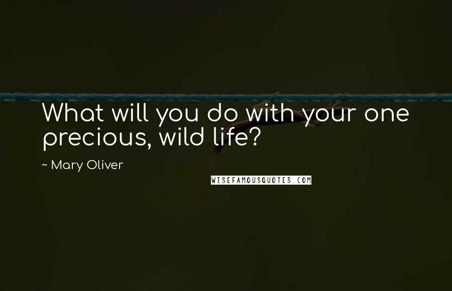 Mary Oliver Quotes: What will you do with your one precious, wild life?