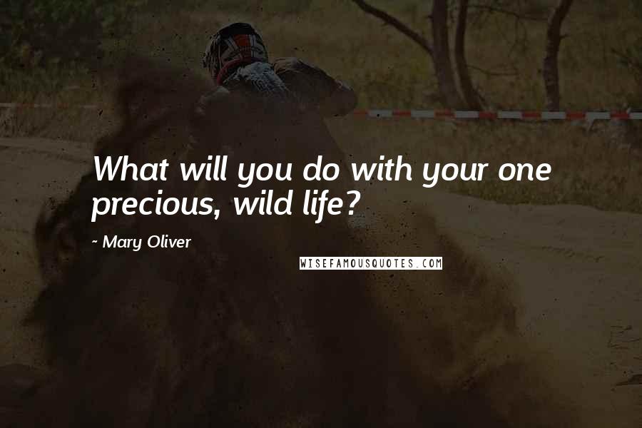 Mary Oliver Quotes: What will you do with your one precious, wild life?