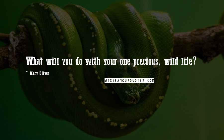 Mary Oliver Quotes: What will you do with your one precious, wild life?