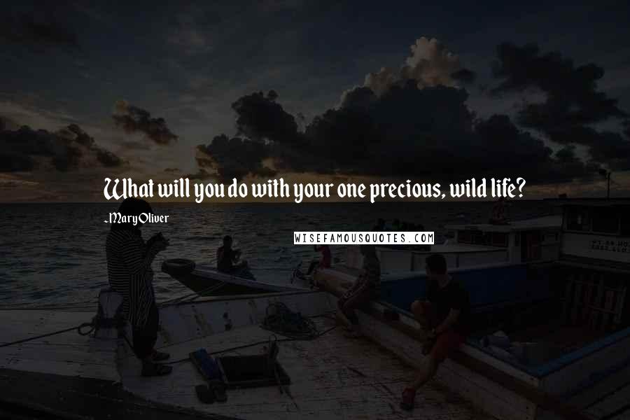 Mary Oliver Quotes: What will you do with your one precious, wild life?
