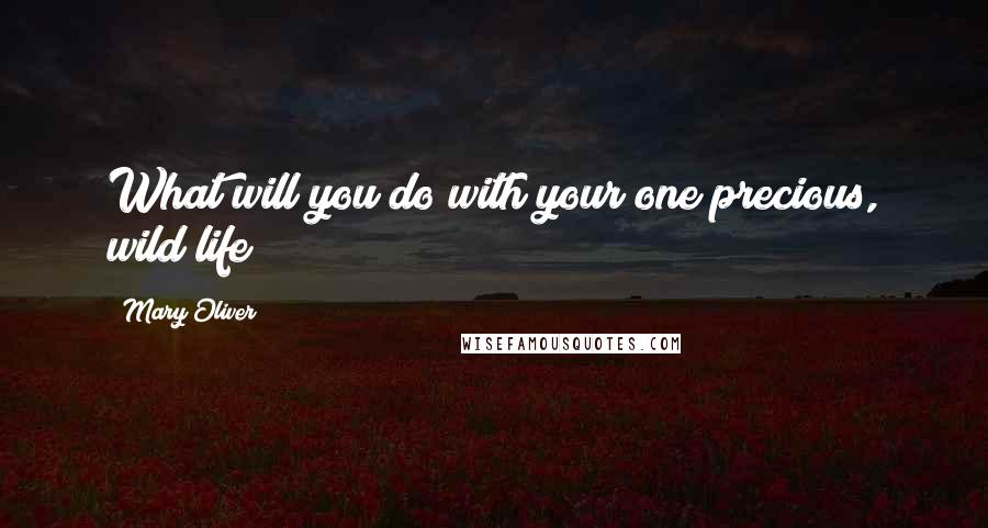 Mary Oliver Quotes: What will you do with your one precious, wild life?