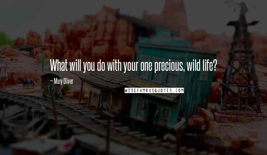 Mary Oliver Quotes: What will you do with your one precious, wild life?