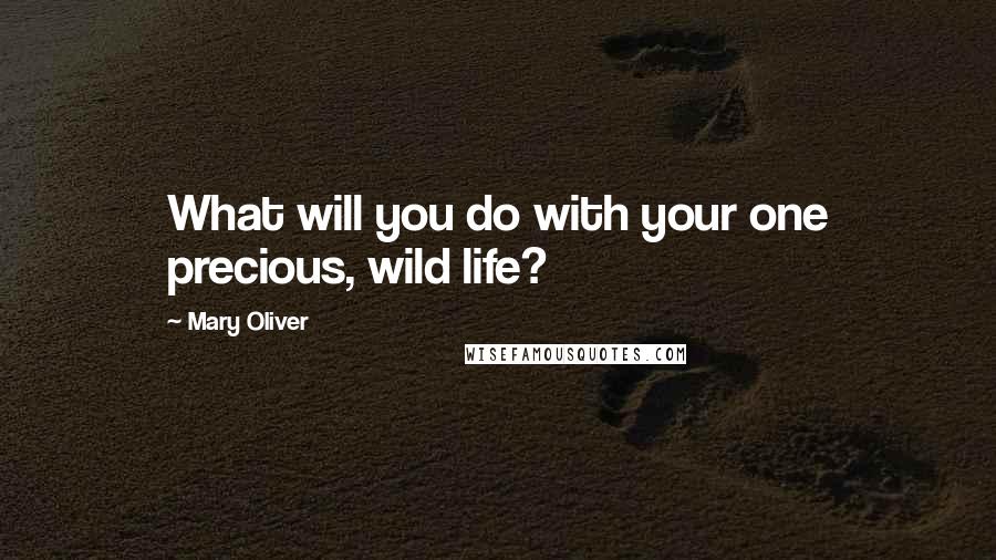 Mary Oliver Quotes: What will you do with your one precious, wild life?