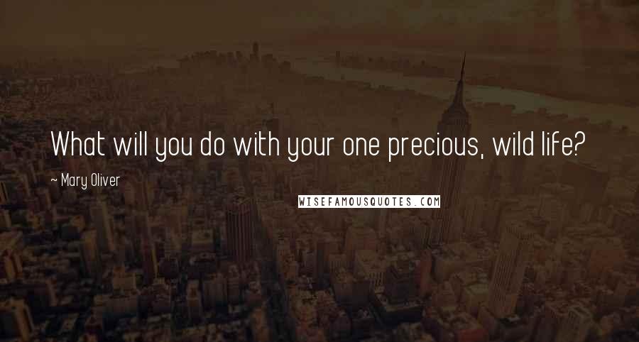 Mary Oliver Quotes: What will you do with your one precious, wild life?