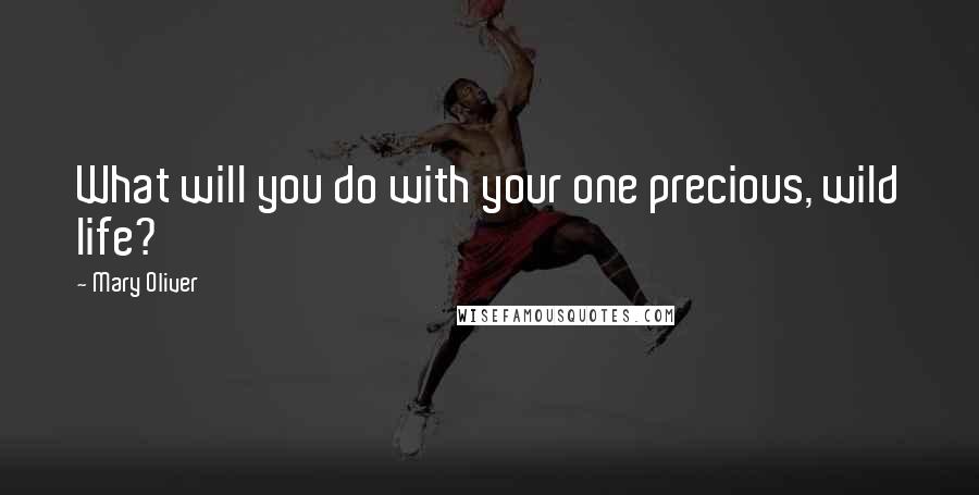 Mary Oliver Quotes: What will you do with your one precious, wild life?