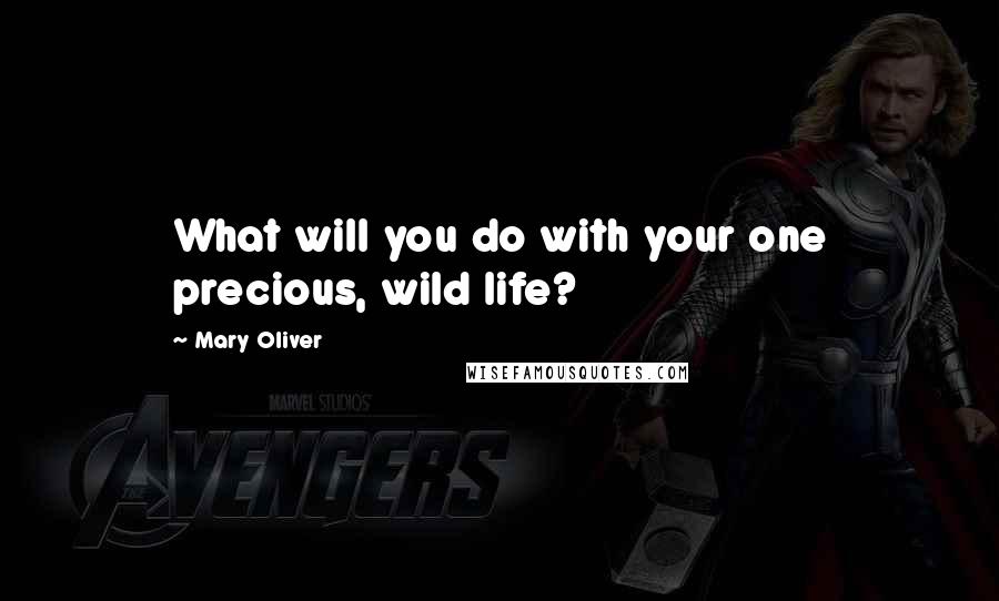 Mary Oliver Quotes: What will you do with your one precious, wild life?