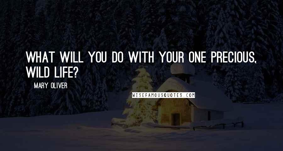 Mary Oliver Quotes: What will you do with your one precious, wild life?