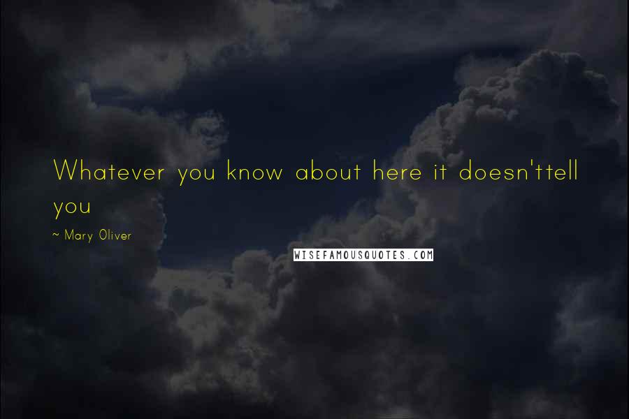 Mary Oliver Quotes: Whatever you know about here it doesn'ttell you