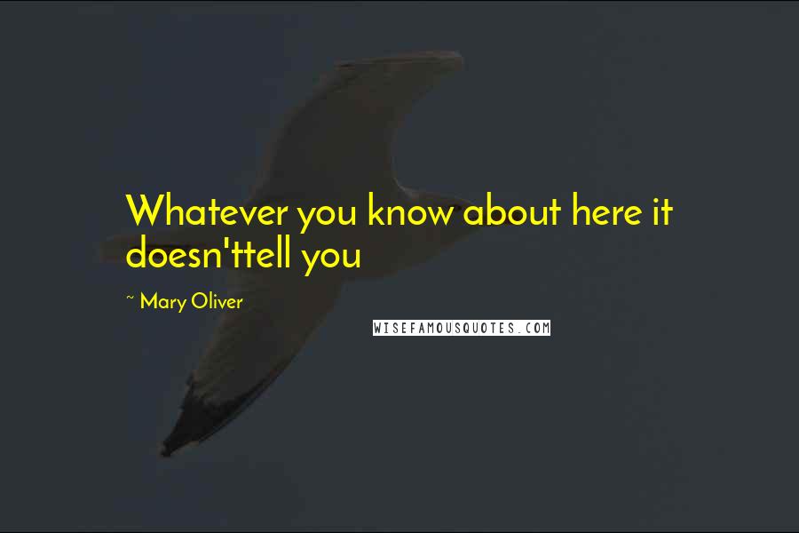 Mary Oliver Quotes: Whatever you know about here it doesn'ttell you