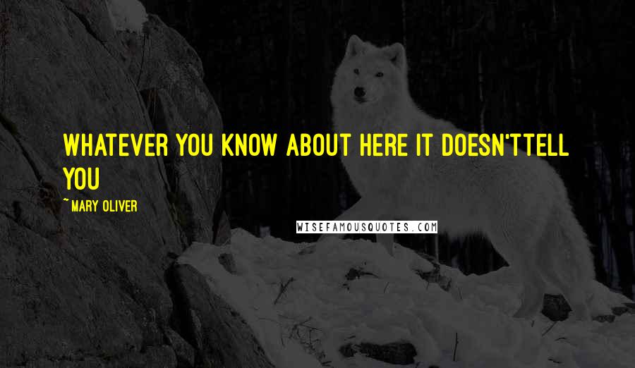 Mary Oliver Quotes: Whatever you know about here it doesn'ttell you