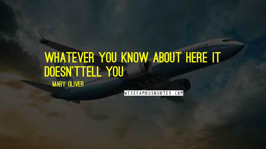 Mary Oliver Quotes: Whatever you know about here it doesn'ttell you