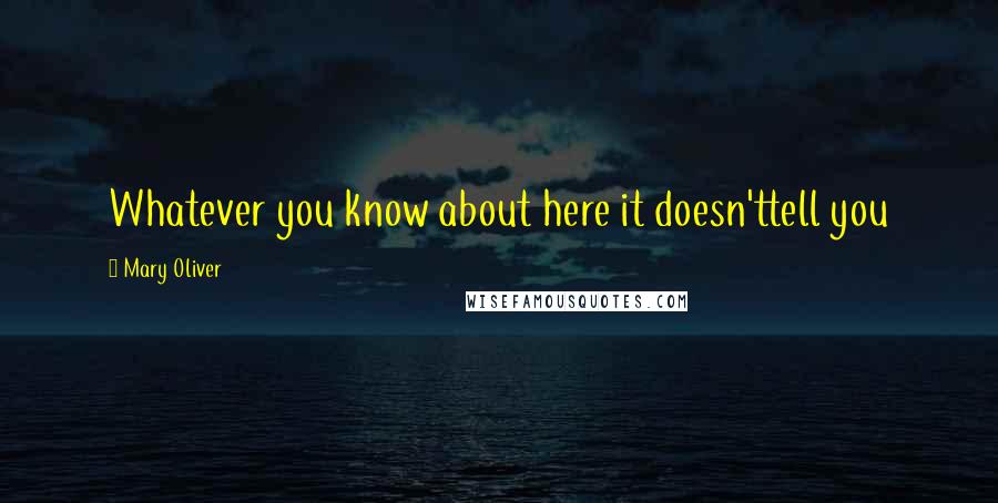 Mary Oliver Quotes: Whatever you know about here it doesn'ttell you