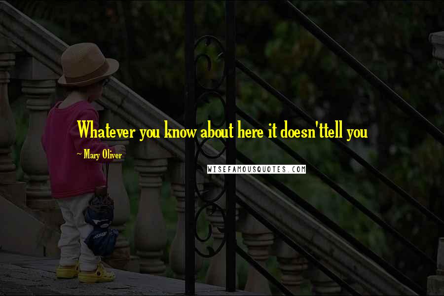 Mary Oliver Quotes: Whatever you know about here it doesn'ttell you
