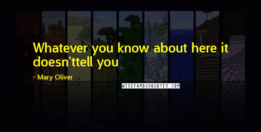 Mary Oliver Quotes: Whatever you know about here it doesn'ttell you