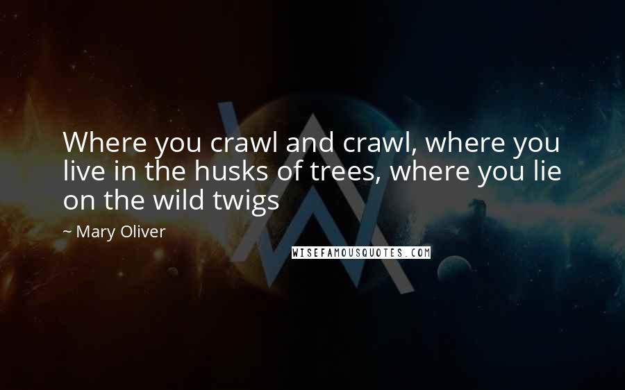 Mary Oliver Quotes: Where you crawl and crawl, where you live in the husks of trees, where you lie on the wild twigs