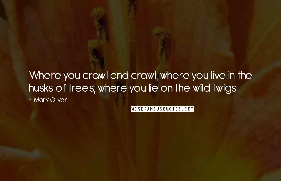 Mary Oliver Quotes: Where you crawl and crawl, where you live in the husks of trees, where you lie on the wild twigs