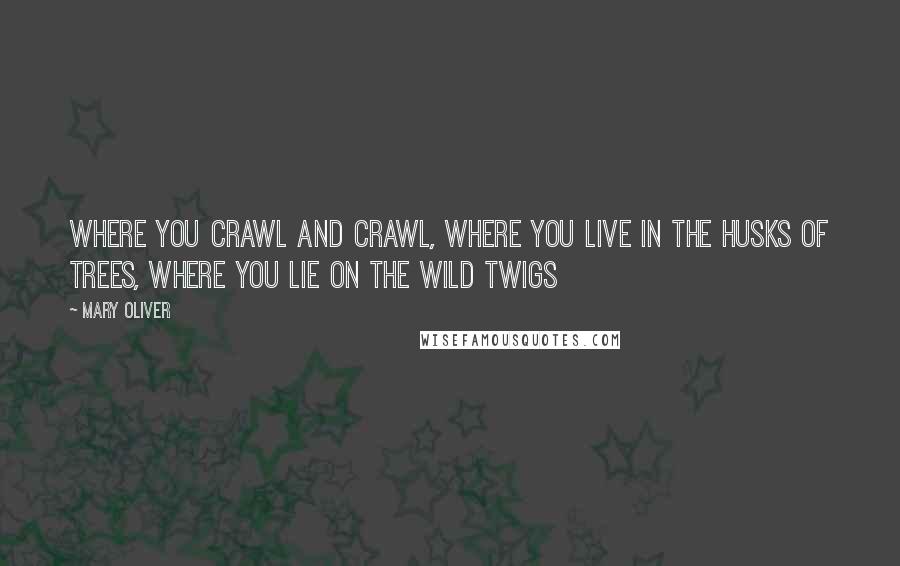Mary Oliver Quotes: Where you crawl and crawl, where you live in the husks of trees, where you lie on the wild twigs