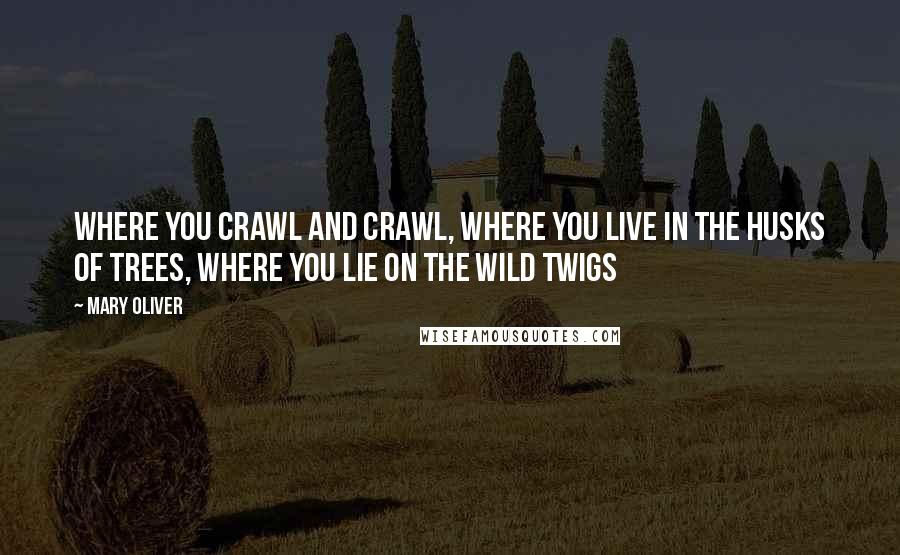 Mary Oliver Quotes: Where you crawl and crawl, where you live in the husks of trees, where you lie on the wild twigs