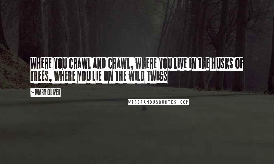 Mary Oliver Quotes: Where you crawl and crawl, where you live in the husks of trees, where you lie on the wild twigs