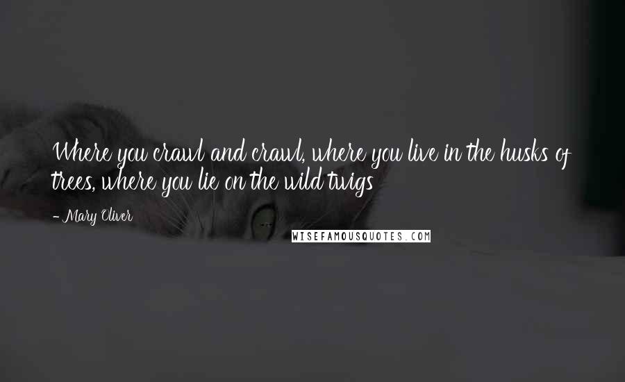 Mary Oliver Quotes: Where you crawl and crawl, where you live in the husks of trees, where you lie on the wild twigs