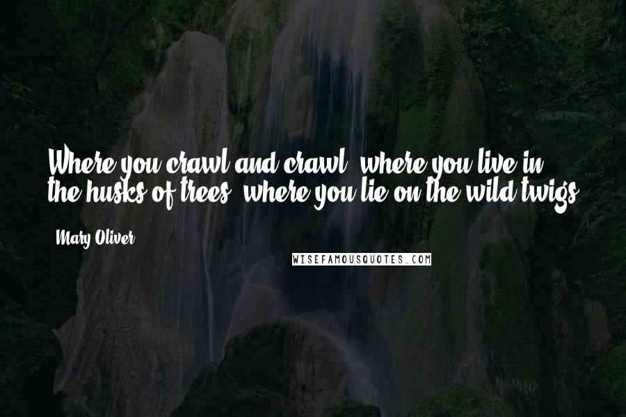 Mary Oliver Quotes: Where you crawl and crawl, where you live in the husks of trees, where you lie on the wild twigs