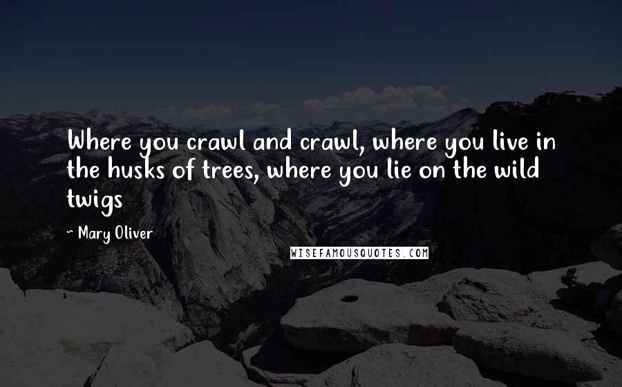 Mary Oliver Quotes: Where you crawl and crawl, where you live in the husks of trees, where you lie on the wild twigs