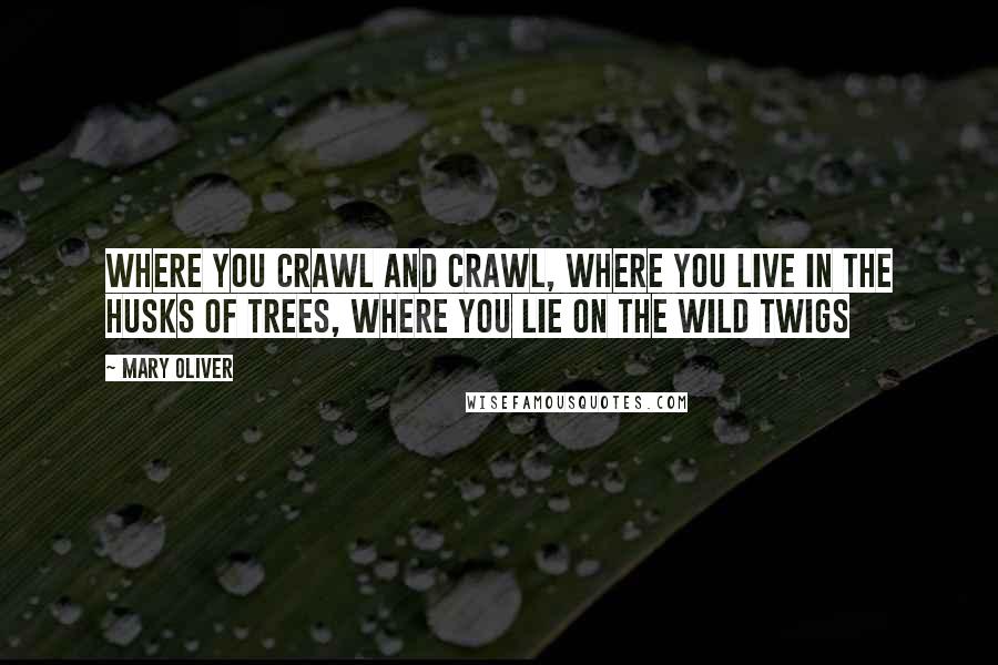 Mary Oliver Quotes: Where you crawl and crawl, where you live in the husks of trees, where you lie on the wild twigs
