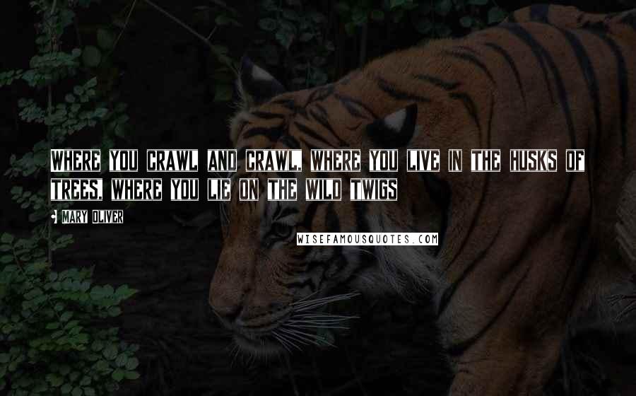 Mary Oliver Quotes: Where you crawl and crawl, where you live in the husks of trees, where you lie on the wild twigs