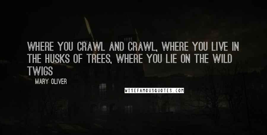 Mary Oliver Quotes: Where you crawl and crawl, where you live in the husks of trees, where you lie on the wild twigs