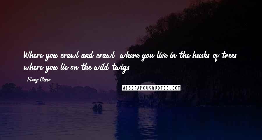 Mary Oliver Quotes: Where you crawl and crawl, where you live in the husks of trees, where you lie on the wild twigs