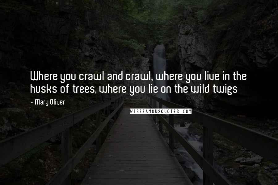 Mary Oliver Quotes: Where you crawl and crawl, where you live in the husks of trees, where you lie on the wild twigs