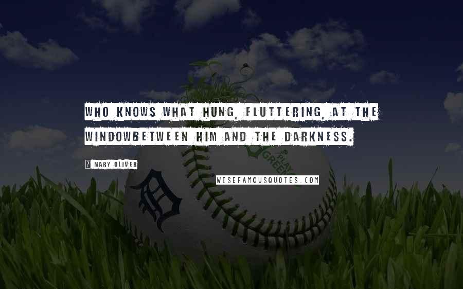 Mary Oliver Quotes: Who knows what hung, fluttering, at the windowbetween him and the darkness.