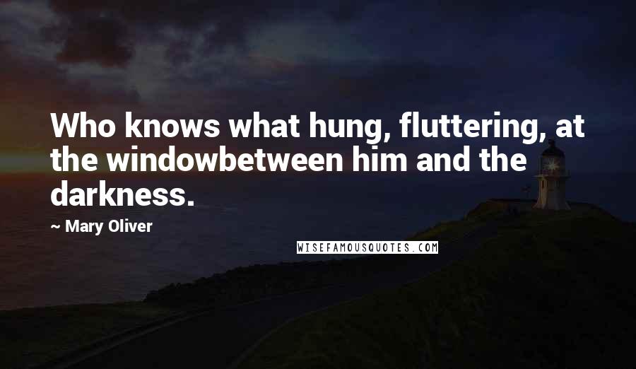 Mary Oliver Quotes: Who knows what hung, fluttering, at the windowbetween him and the darkness.