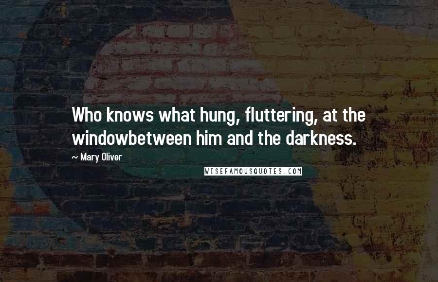 Mary Oliver Quotes: Who knows what hung, fluttering, at the windowbetween him and the darkness.