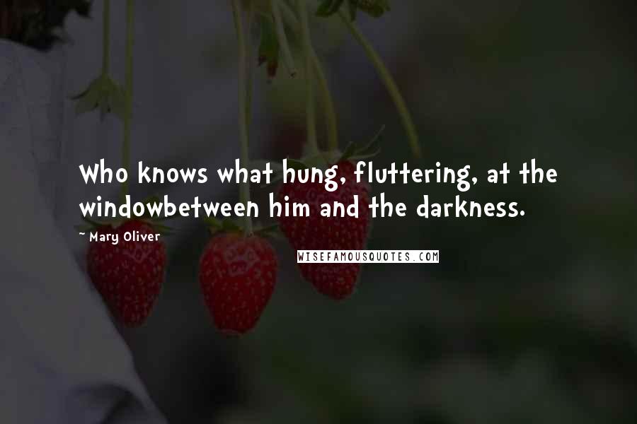 Mary Oliver Quotes: Who knows what hung, fluttering, at the windowbetween him and the darkness.