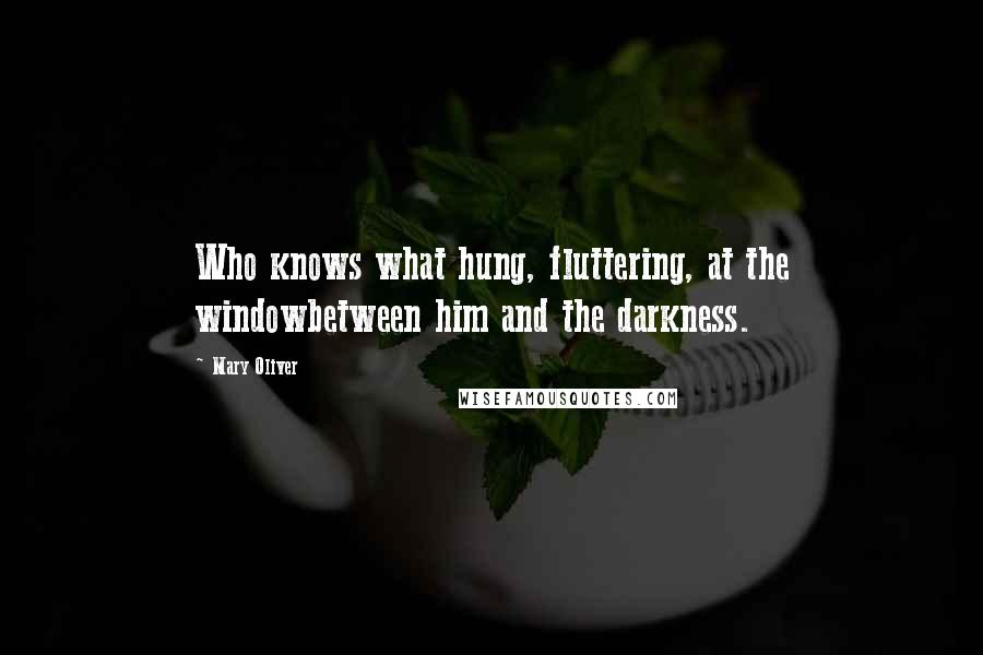 Mary Oliver Quotes: Who knows what hung, fluttering, at the windowbetween him and the darkness.