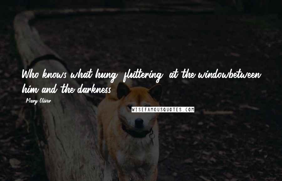 Mary Oliver Quotes: Who knows what hung, fluttering, at the windowbetween him and the darkness.