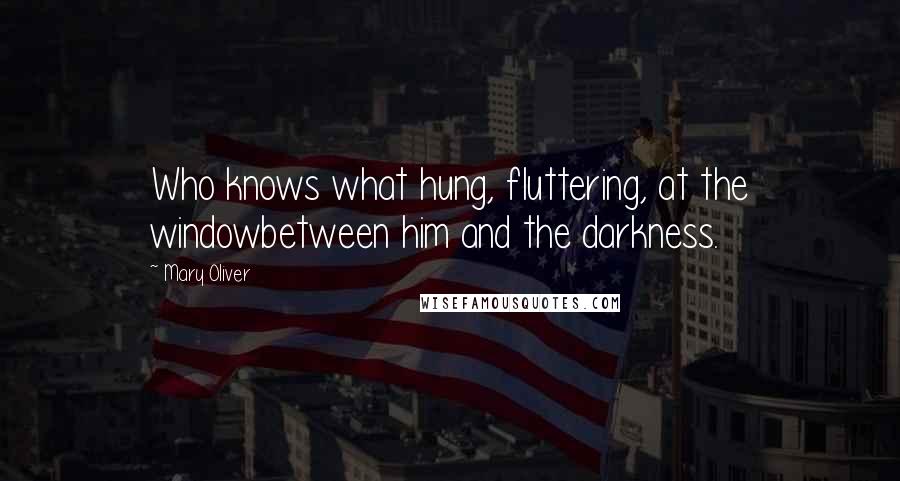 Mary Oliver Quotes: Who knows what hung, fluttering, at the windowbetween him and the darkness.