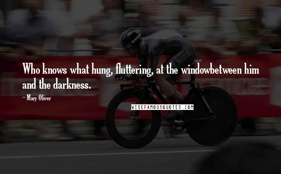 Mary Oliver Quotes: Who knows what hung, fluttering, at the windowbetween him and the darkness.