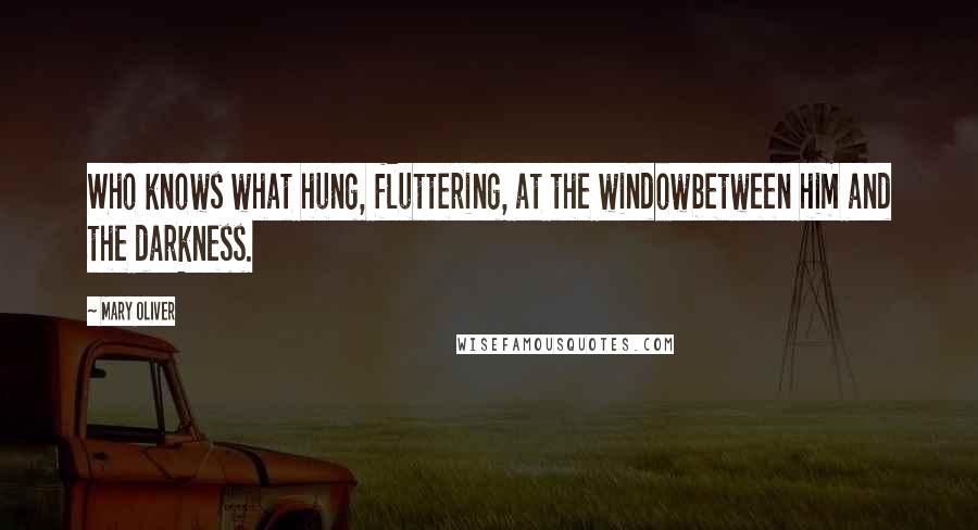 Mary Oliver Quotes: Who knows what hung, fluttering, at the windowbetween him and the darkness.