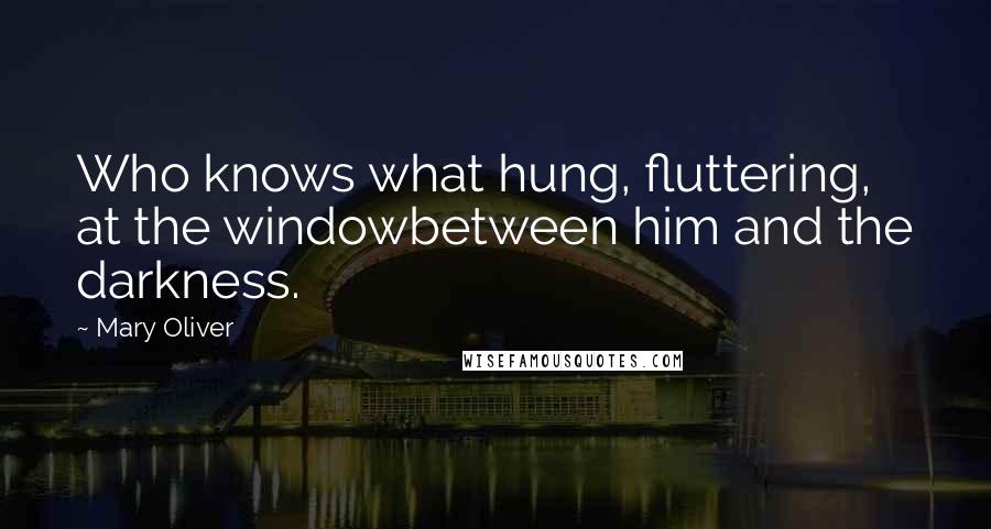 Mary Oliver Quotes: Who knows what hung, fluttering, at the windowbetween him and the darkness.