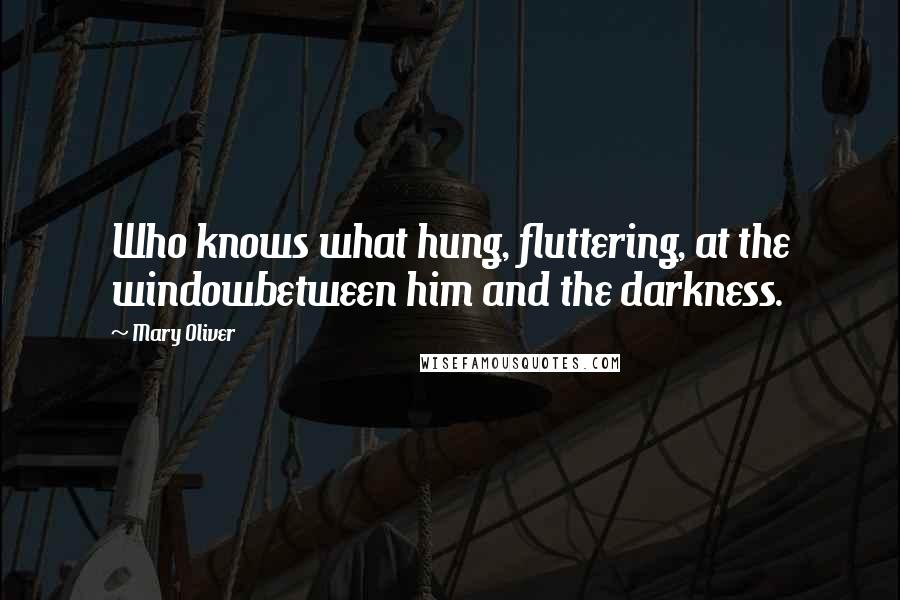 Mary Oliver Quotes: Who knows what hung, fluttering, at the windowbetween him and the darkness.