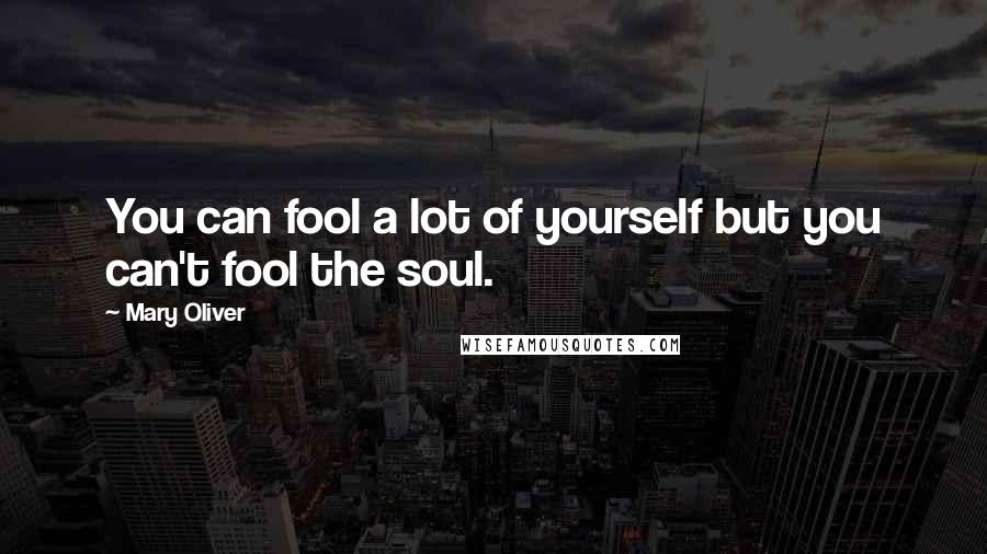 Mary Oliver Quotes: You can fool a lot of yourself but you can't fool the soul.